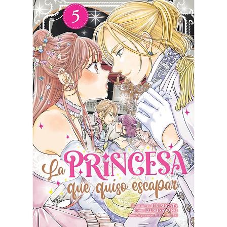 PRINCESA QUE QUISO ESCAPAR 05, LA | 9788410446038 | SAWANO, IZUMI