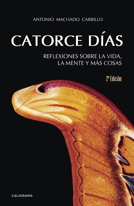 CATORCE DÍAS | 9788417234775 | MACHADO CARRILLO, ANTONIO
