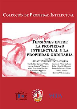 TENSIONES ENTRE LA PROPIEDAD INTELECTUAL Y LA PROPIEDAD ORDINARIA | 9788429019506 | ROGEL VIDE, CARLOS