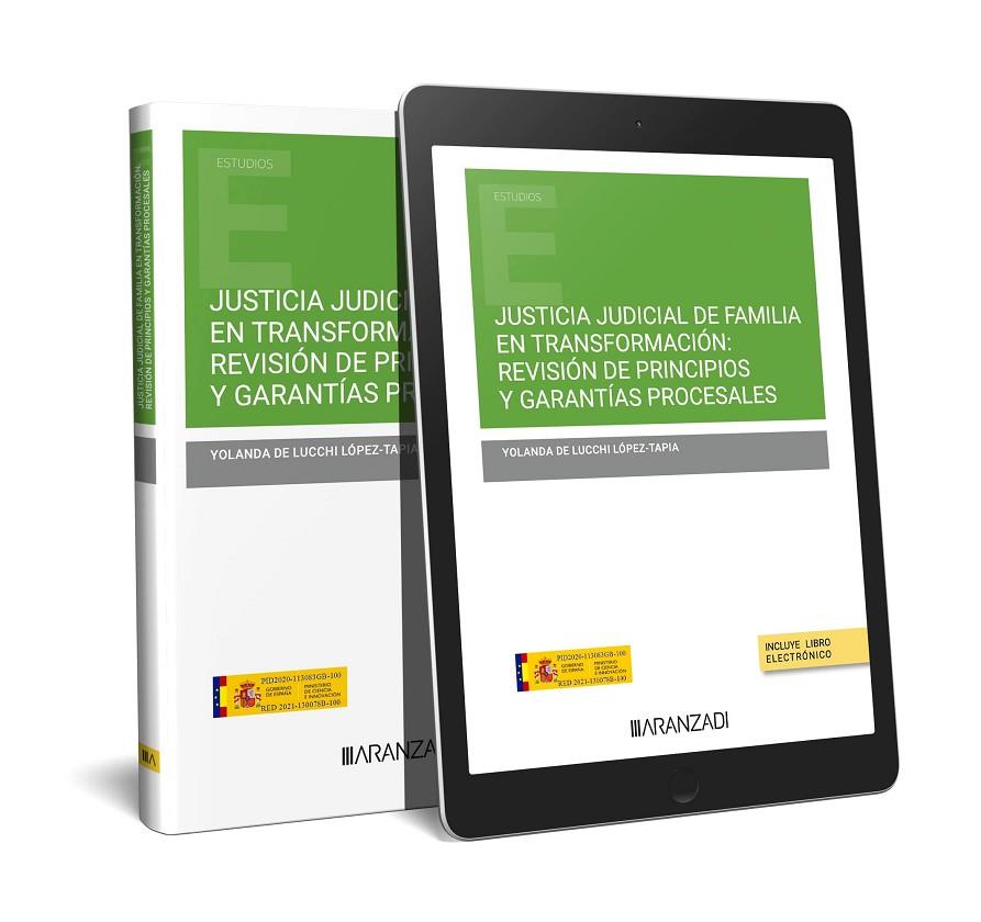 JUSTICIA JUDICIAL DE FAMILIA EN TRANSFORMACION REVISION DE PRINCIPIOS | 9788411639149 | DE LUCCHI LOPEZ-TAPIA, YOLANDA