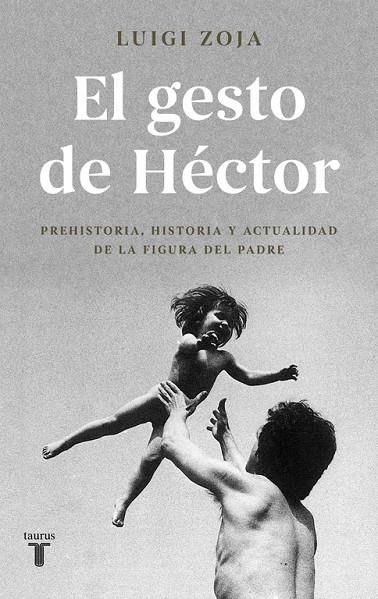 GESTO DE HÉCTOR, EL | 9788430619313 | ZOJA, LUIGI