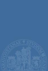 STUDY OF THE OPTICAL PROPERTIES OF NANO-STRUCTURAL METALLIC SYSTEMS WITH THE FINITE-DIFFERENCE TIME-DOMAIN METHOD | 9788415031369 | GUTIÉRREZ RODRIGO, SERGIO