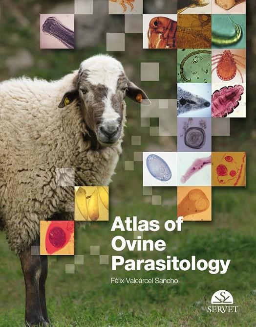 ATLAS OF OVINE PARASITOLOGY | 9788492569038 | VALCARCEL SANCHO, FELIX / OLMEDA GARCIA, A