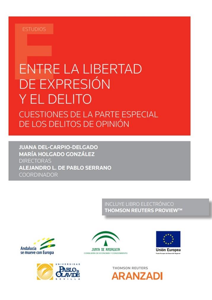 ENTRE LA LIBERTAD DE EXPRESIÓN Y EL DELITO | 9788413910482 | DE PABLO SERRANO, ALEJANDRO