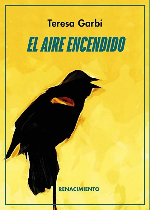 AIRE ENCENDIDO, EL | 9788419231024 | GARBI, TERESA