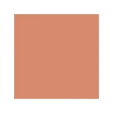 CARTOLINA GUARRO 185G 50X65 VERD POMA / CORALL | 3148950120120