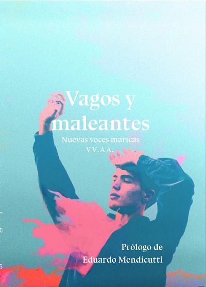 VAGOS Y MALEANTES | 9788417319731
