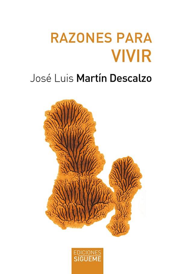 RAZONES PARA VIVIR | 9788430120901 | MARTIN DESCALZO, JOSE LUIS