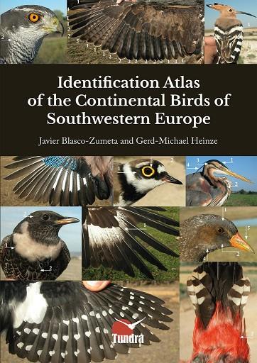IDENTIFICATION ATLAS OF THE CONTINENTAL BIRDS OF SOUTHWESTERN EUROPE | 9788419624383