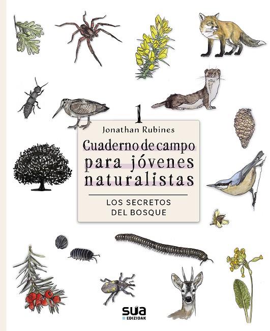 SECRETOS DEL BOSQUE, LOS | 9788482168883 | RUBINES GARCIA, JONATHAN