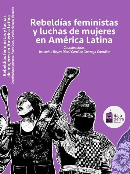 REBELDÍAS FEMINISTAS Y LUCHAS DE MUJERES EN AMÉRICA LATINA | 9786079890186