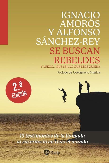 SE BUSCAN REBELDES | 9788432174506 | AMOROS, IGNACIO / SANCHEZ-REY, ALFONSO