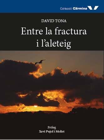 ENTRE LA FRACTURA I L'ALETEIG | 9788412082999 | TONA, DAVID