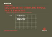TOMO VII ESQUEMAS DE DERECHO PENAL PARTE ESPECIAL | 9788498769616 | JOSÉ LUIS GONZÁLEZ CUSSAC/ÁNGELA MATALLÍN EVANGELIO/ENRIQUE ORTS BERENGUER/MARGARITA ROIG TORRES