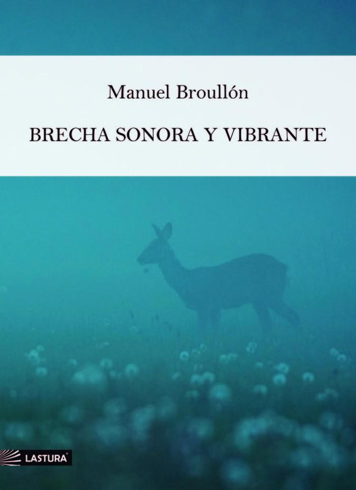 BRECHA SONORA Y VIBRANTE | 9788412706819 | BROULLÓN, MANUEL