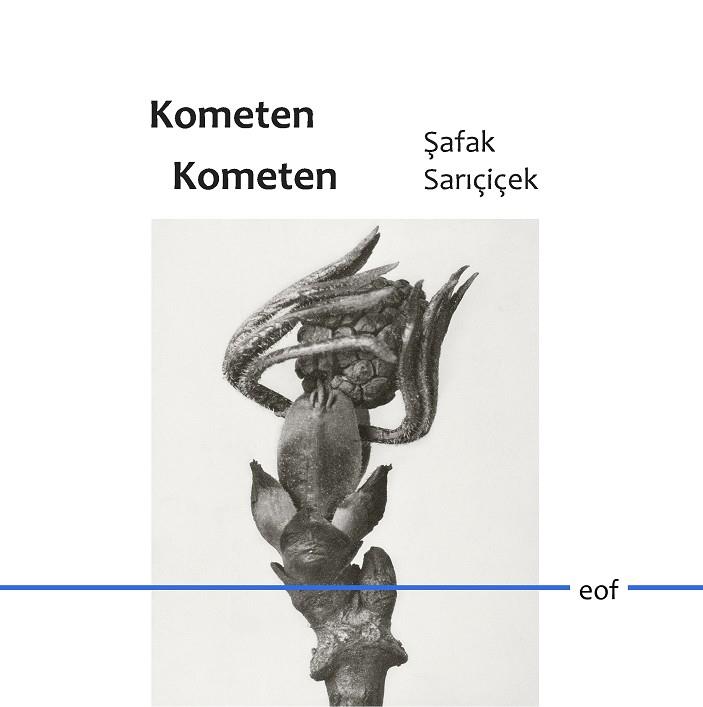 KOMETEN KOMETEN | 9783749495672 | SARICICEK, SAFAK