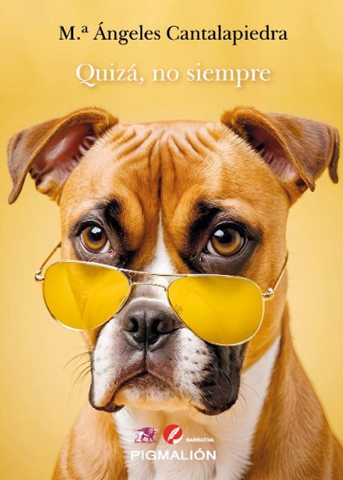 QUIZA NO SIEMPRE | 9791387785093 | CANTALAPIEDRA, Mª ANGELES