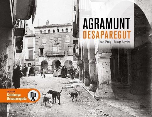 AGRAMUNT DESAPAREGUT | 9788419736499 | PUIG, JOAN / ROVIRA, JOSEP