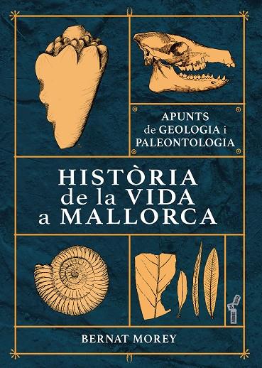 HISTÒRIA DE LA VIDA A MALLORCA | 9788418441585 | MOREY, BERNAT