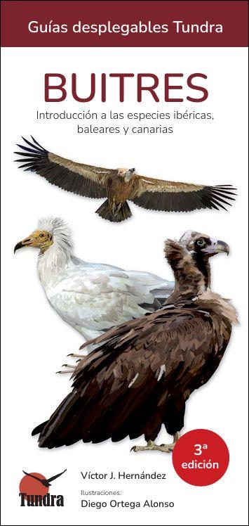 BUITRES -  GUIAS DESPLEGABLES TUNDRA (3A EDICIÓN) | 9791387759315 | HERNÁNDEZ, VICTOR J.