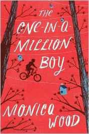 ONE IN A MILLION BOY, THE | 9781472228369 | WOOD, MONICA