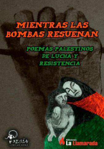 MIENTRAS LAS BOMBAS RESUENAN | 9786139086836