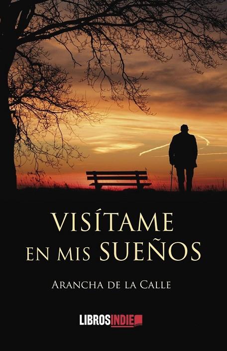 VISÍTAME EN MIS SUEÑOS | 9788419328687 | DE LA CALLE, ARANCHA