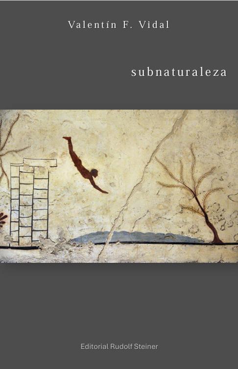 SUBNATURALEZA | 9788418919435 | FERNANDEZ VIDAL, VALENTIN