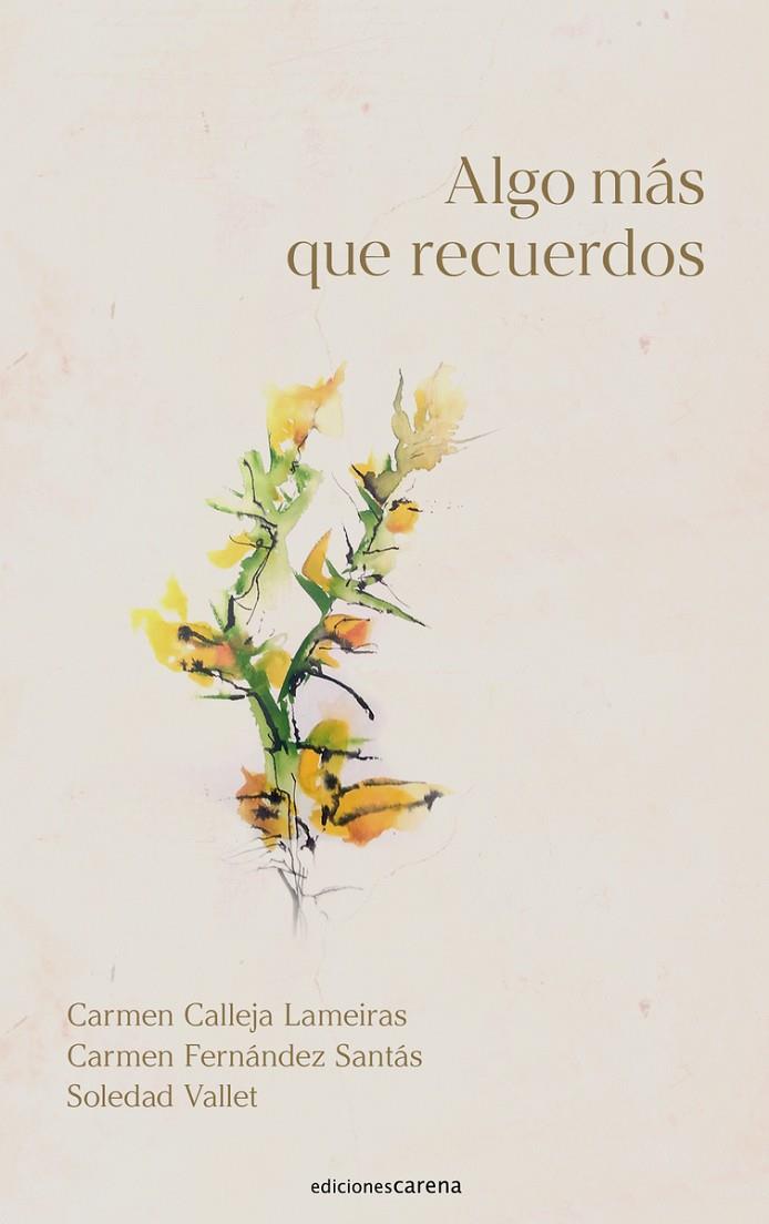 ALGO MÁS QUE RECUERDOS | 9788419136602 | CALLEJA LAMEIRAS, CARMEN/FERNÁNDEZ SANTÁS, CARMEN/VALLET, SOLEDAT