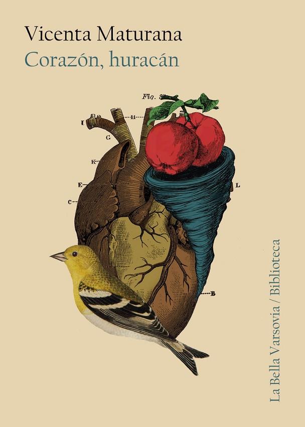 CORAZON HURACAN | 9788494841217 | MATURANA, VICENTA