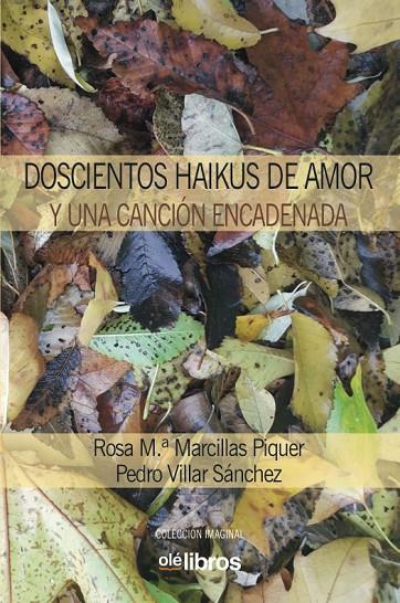 DOSCIENTOS HAIKUS DE AMOR Y UNA CANCIÓN ENCADENADA | 9788418208348 | VILLAR SÁNCHEZ, PEDRO