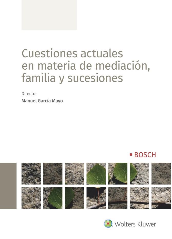 CUESTIONES ACTUALES EN MATERIA DE MEDIACIÓN, FAMILIA Y SUCESIONES | 9788490904381 | GARCÍA MAYO, MANUEL
