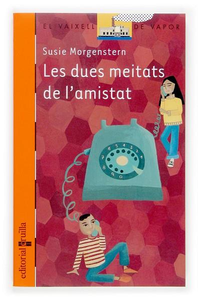 DUES MEITATS DE L'AMISTAT, LES | 9788466113908 | MORGENSTERN, SUSIE