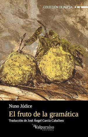 FRUTO DE LA GRAMATICA, EL | 9788494357718 | JUDICE, NUNO