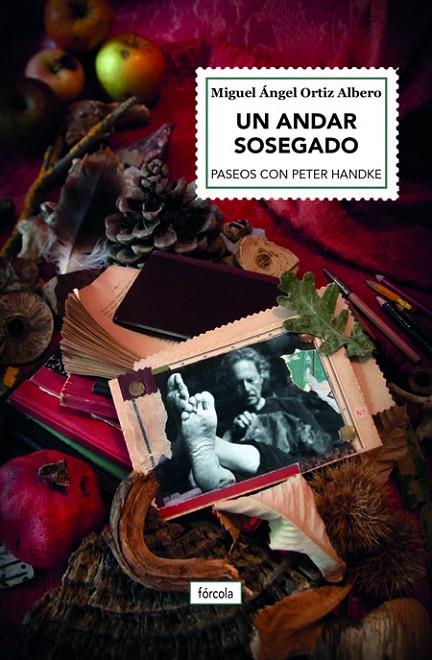 ANDAR SOSEGADO, UN | 9788417425807 | ORTIZ ALBERO, MIGUEL ÁNGEL