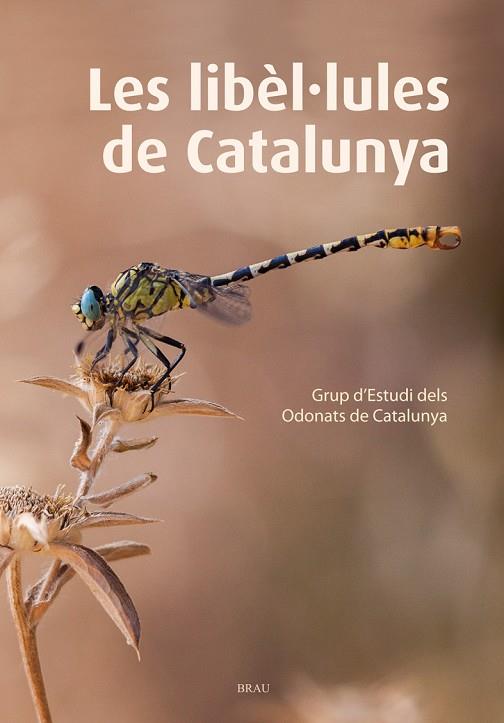 LIBÈL·LULES DE CATALUNYA, LES | 9788415885467 | GRUP D'ESTUDIS DELS ODONATS DE CATALUNYA