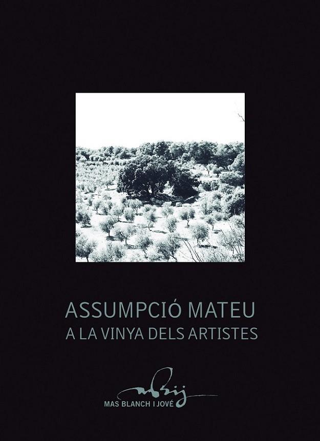 ASSUMPCIÓ MATEU A LA VINYA DELS ARTISTES | 9788499756417 | VARIOS AUTORES