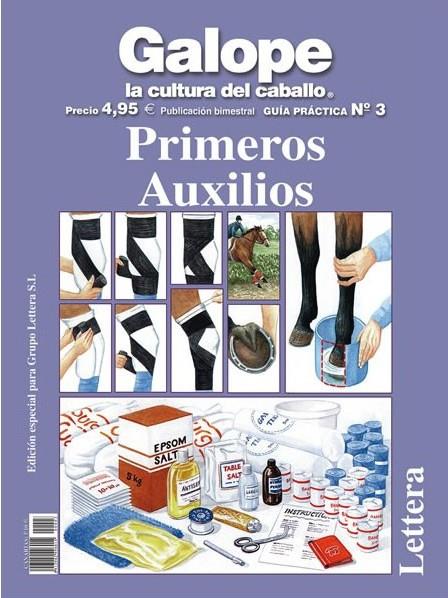 GUÍA PRÁCTICA PRIMEROS AUXILIOS | 9788496060395 | HOLDERNESS-RODDAM, JANE