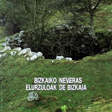 NEVERAS DE BIZKAIA | 9788477521464 | ARREGI, GURUTZI