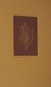 FLORA DE MALLORCA, 4 VOLS. | 9788427302396 | BONAFE, FRANCESC