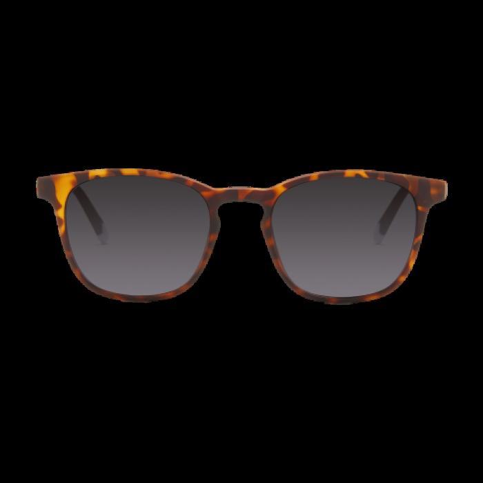 ULLERES LE MARAIS TORTOISE SUN | 5060655493782