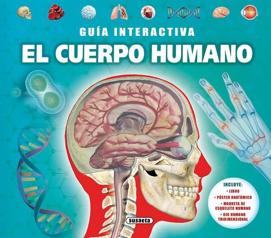 CUERPO HUMANO, EL | 9788467783971 | DE LA BÉDOYÈRE, CAMILLA