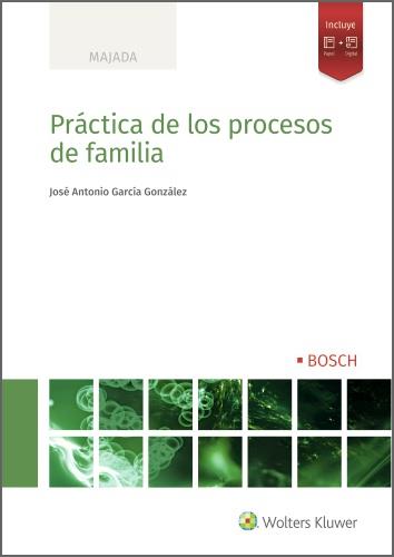 PRACTICA DE PROCESOS DE FAMILIA | 9788490904749 | GARCIA GONZALEZ, JOSE ANTONIO