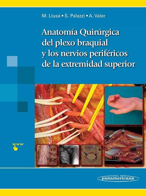 ANATOMIA QUIRURGICA DEL PLEXO BRAQUIAL Y NERVIOS PERIFERICOS | 9788498356106 | LLUSA PEREZ, MANUEL