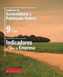 INDICADORES PARA LA EMPRESA (9) | 9788489913714