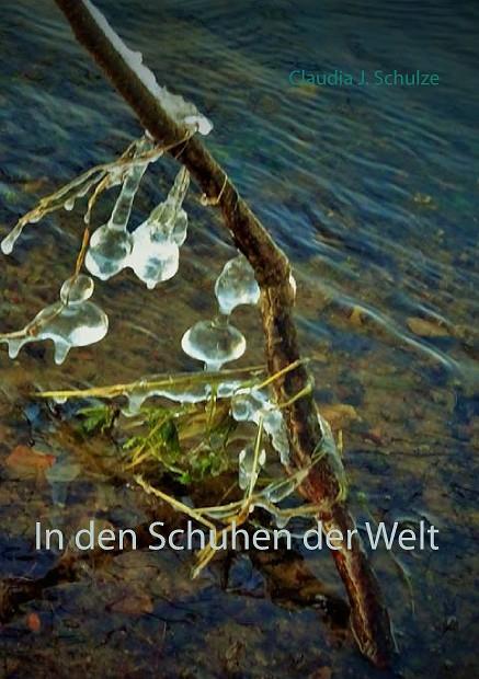 IN DEN SCHUHEN DER WELT | 9783743196322 | SCHULZE, CLAUDIA J.