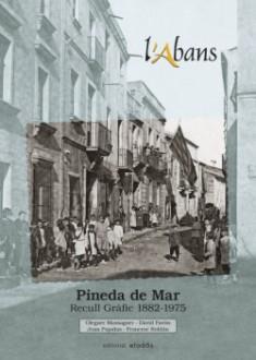 ABANS DE PINEDA DE MAR, L' | 9788415232490 | MASSAGUER, OLEGUER
