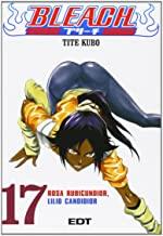 BLEACH 17 | 9788483573198 | KUBO, TITE