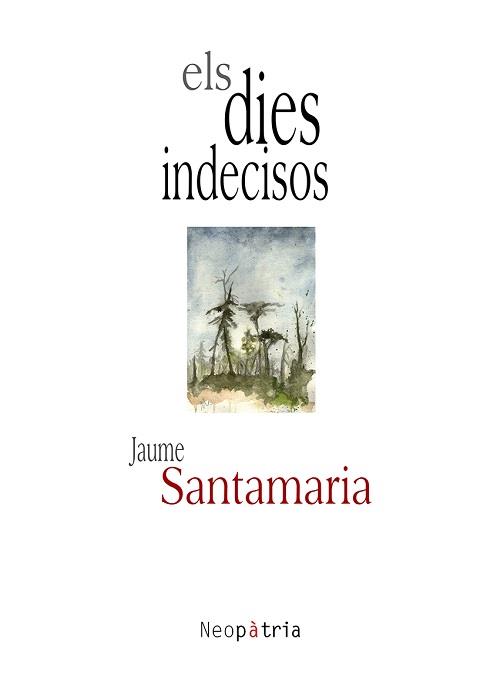 DIES INDECISOS, ELS | 9788416833153 | SANTAMARIA SEBASTIAN, JAUME