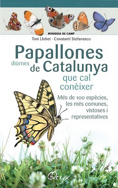 PAPALLONES DIÜRNES DE CATALUNYA QUE CAL CONEIXER | 9788490346754 | LLOBET, TONI / STEFANESCU, CONSTANTÍ